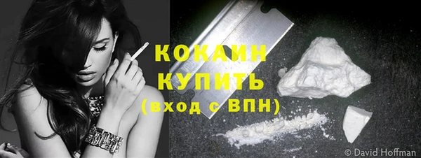 мет Арсеньев