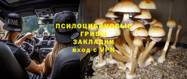 мет Арсеньев