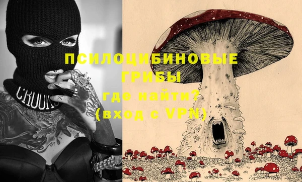 мет Арсеньев