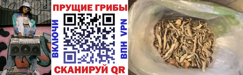 Галлюциногенные грибы Cubensis Сольвычегодск
