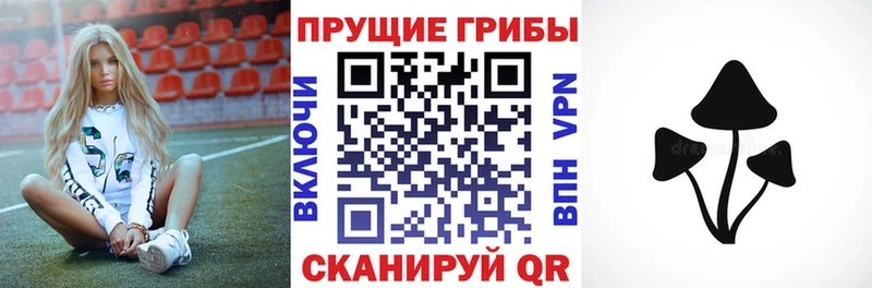 наркошоп  Сольвычегодск  Галлюциногенные грибы мухоморы 